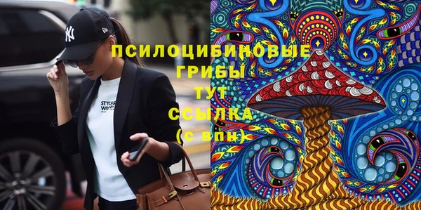молекула духа Куйбышев